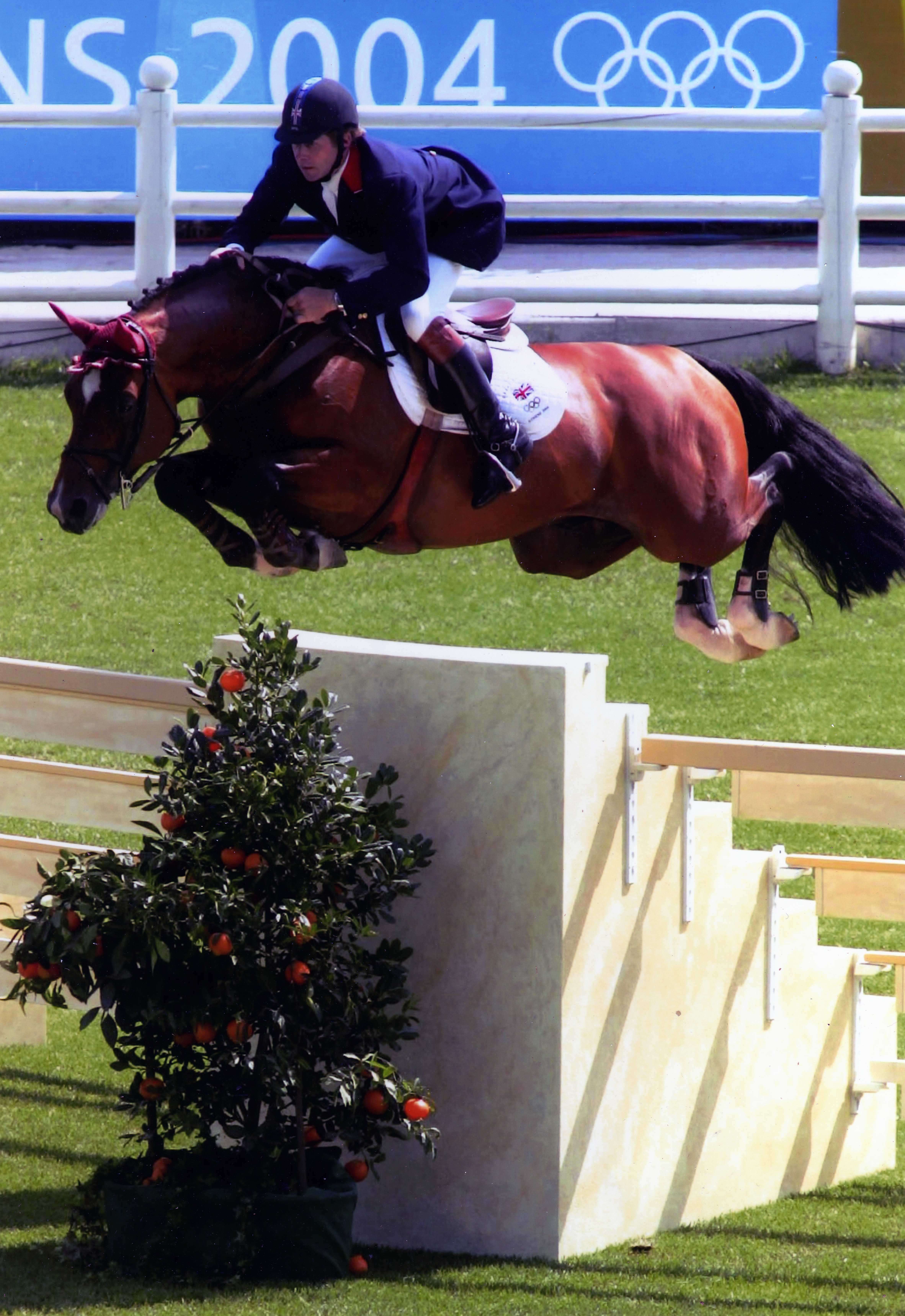 Arko III Stallion